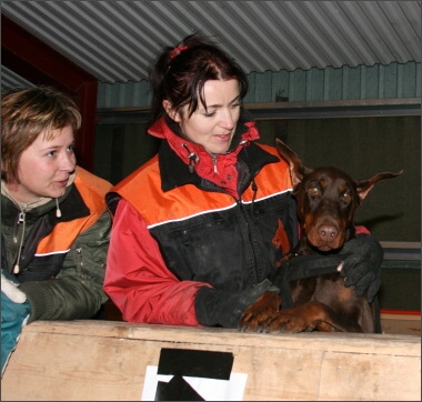 Training in Estonia 11/2007